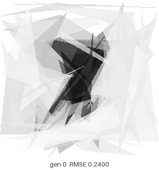 Animated GIF of the best hummingbird canvas at each accepted generation, sharpening from noise into a recognisable bird
